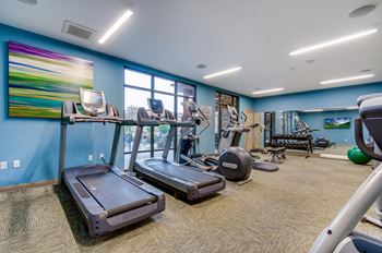 A gym with treadmills, exercise bikes, and other equipment.